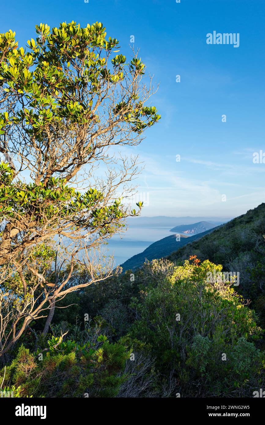 Vista dal punto panoramico di Punta del Corvo in un'escursione nel Parco naturale della Maremma in una mattina d'autunno, Toscana, Italia Foto Stock