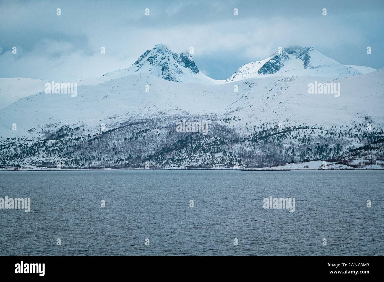 Immagine dettagliata delle montagne innevate lungo il fiordo norvegese "Vestfjorden" sul Lofoten, Norvegia settentrionale Foto Stock