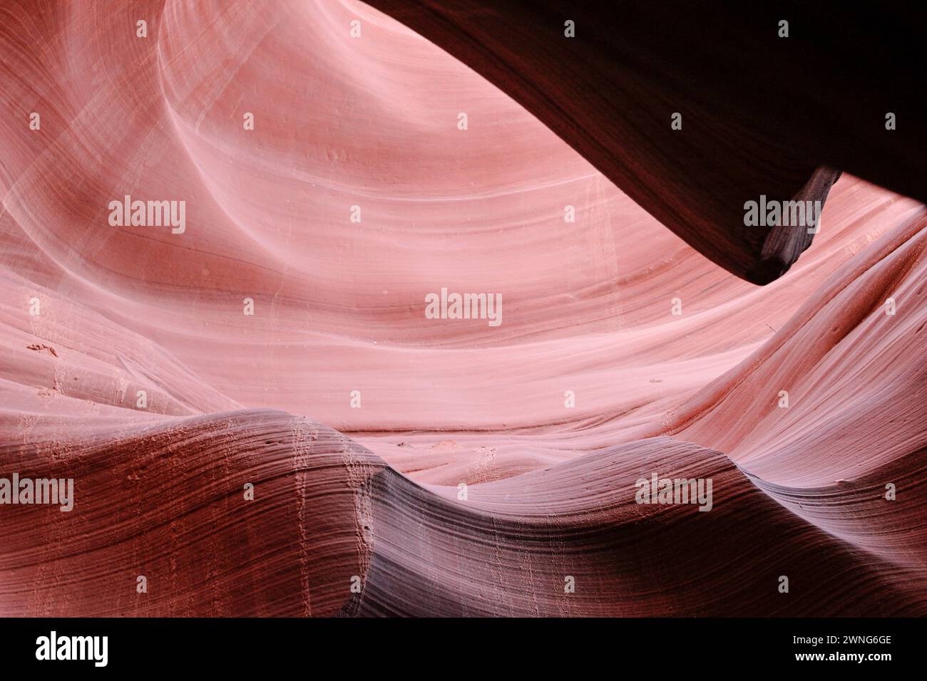 Vista ravvicinata delle pareti di arenaria dell'Antelope Canyon. I dettagli intricati e gli schemi vorticosi sono stati formati da milioni di anni di erosione dell'acqua. Foto Stock