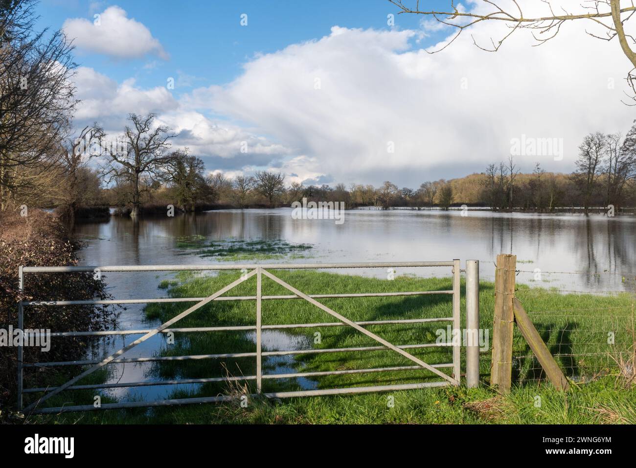 2 marzo 2024. Dopo il mese di febbraio più caldo mai registrato in Inghilterra e Galles, e il mese di febbraio più umido registrato nell'Inghilterra meridionale, ci sono molte inondazioni in alcune parti del Berkshire. Nella foto: Campi allagati vicino al fiume Lodden a Shinfield, Berkshire, Inghilterra, Regno Unito. Le piogge estreme sono più comuni e più intense a causa dei cambiamenti climatici causati dall'uomo, poiché l'aria più calda può contenere più vapore acqueo. Foto Stock