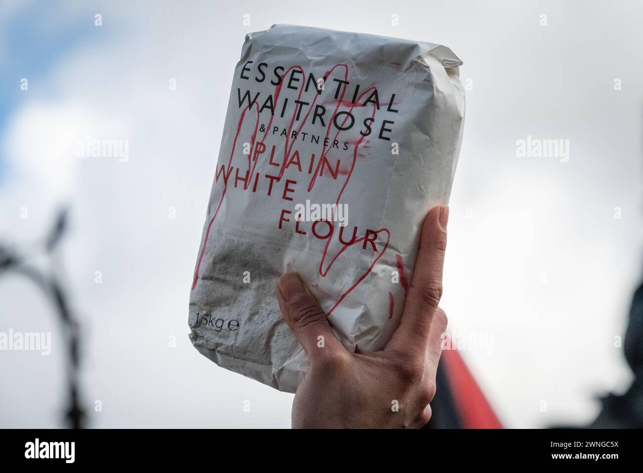 Londra, Regno Unito. 2 marzo 2024. Un pacchetto di farina viene tenuto in alto durante una protesta a Westminster, chiamata da Palestine Pulse, che chiede aiuti immediati alla popolazione assediata di Gaza e chiede l'arresto dei politici britannici "complice” in un conflitto descritto dallo studioso dell'Olocausto Raz Segal come un "caso da manuale di genocidio” e che è stato definito è attualmente sotto inchiesta della Corte internazionale di giustizia. La farina è un riferimento all'uccisione di oltre 100 palestinesi che hanno fatto la fila per gli aiuti alimentari nella città di Gaza, assediata da Israele. Crediti: Ron Fassbender/Alamy Live News Foto Stock