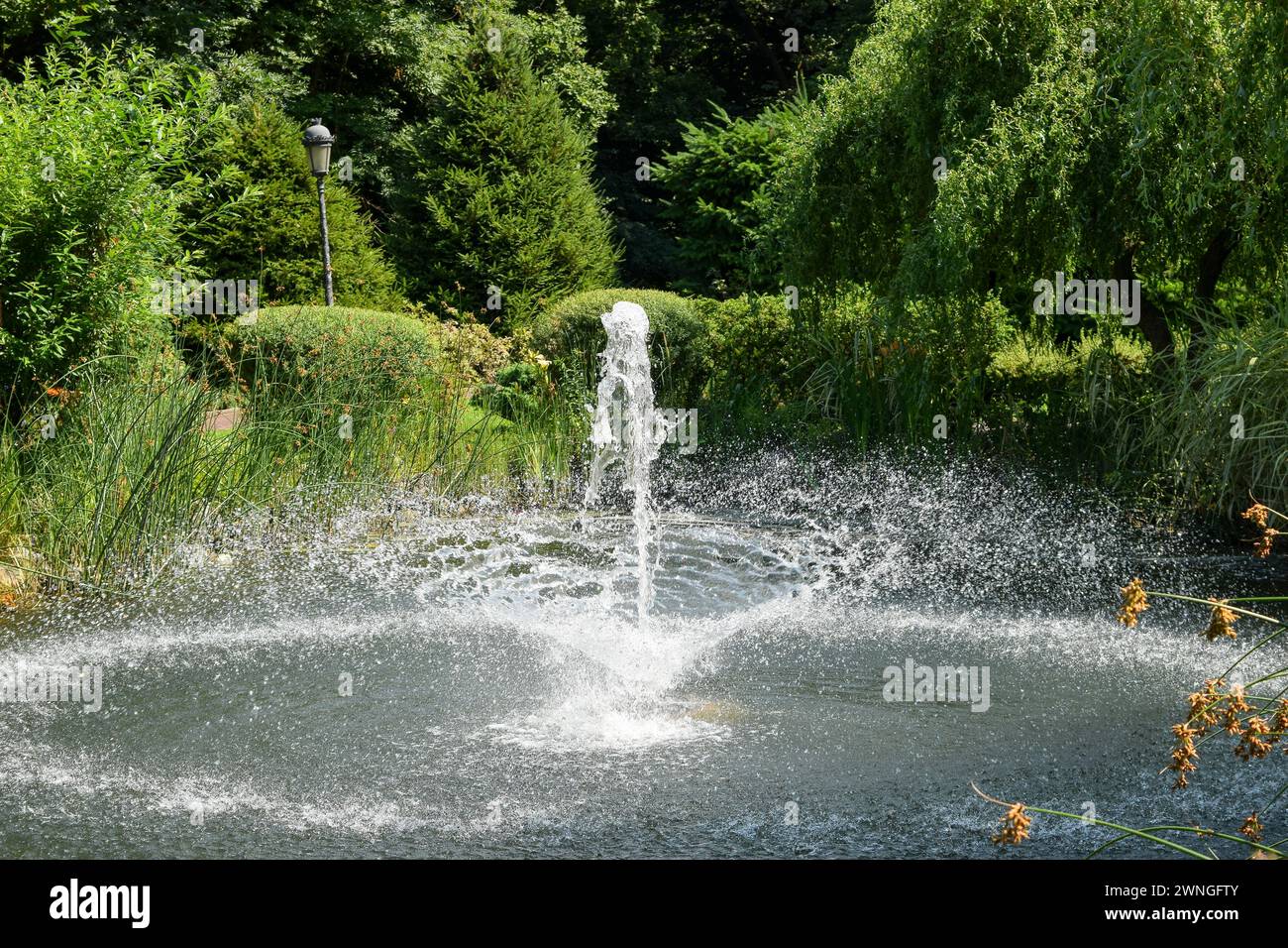 Fontana d'acqua da vicino astratta Foto Stock