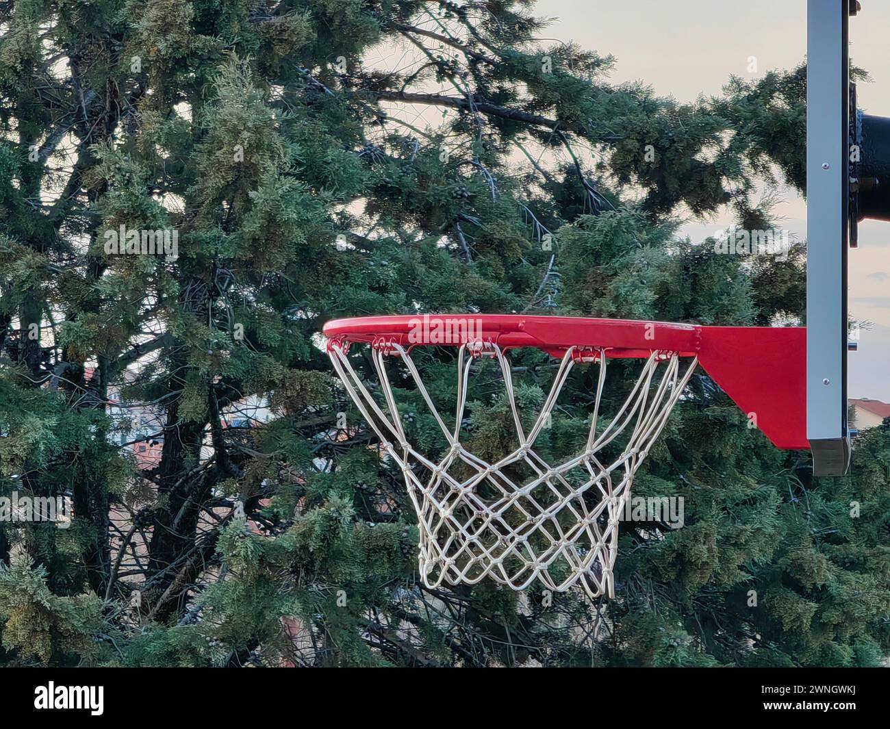 Serenità da basket, canestro immerso nel verde. Foto Stock