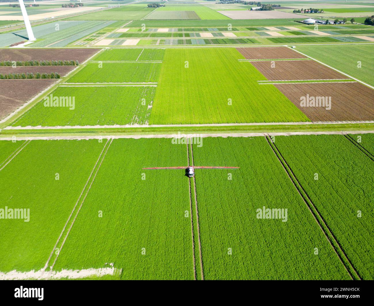 Vista aerea di una macchina che spruzza additivi chimici su prodotti in un campo agricolo Foto Stock