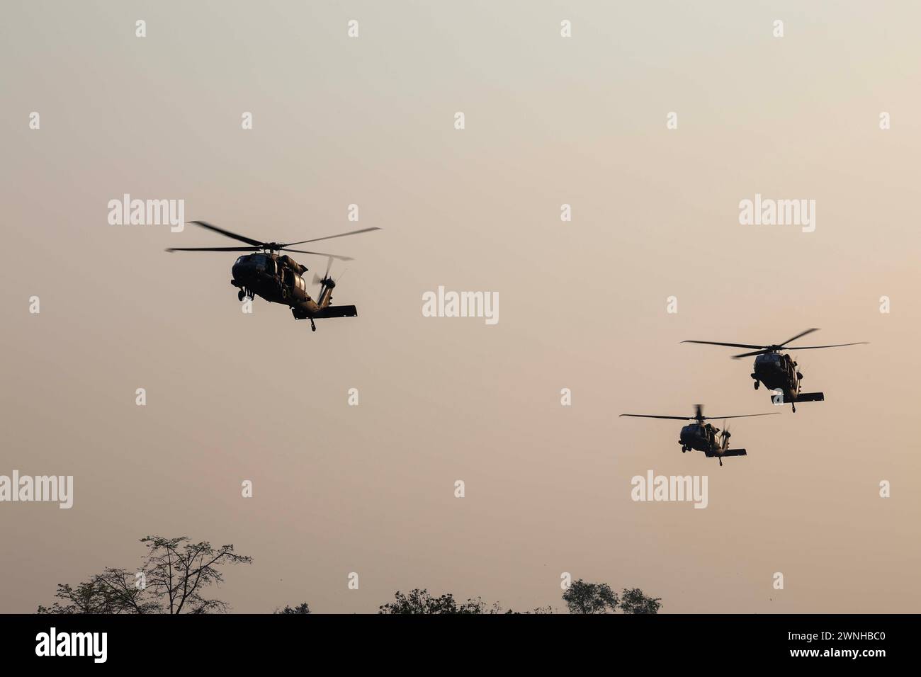 Tre UH-60 Blackhawk dell'esercito statunitense assegnati al 2-158th Assault Helicopter Battalion, 16th Combat Aviation Brigade, 7th Infantry Division, sparano un avvicinamento ad una zona di atterraggio durante il sistema di inserimento ed estrazione veloce della corda (FRIES), Lop Buri, Thailand, 28 febbraio 2024, durante l'esercizio annuale Cobra Gold 2024. Cobra Gold è un esempio positivo di cooperazione multilaterale ed è in netto contrasto con altri esempi della regione, che sfidano l'ordine internazionale basato sulle regole attraverso azioni di sicurezza espansive e assertive. (Foto U.S. Army del sergente Brandon Bruer, 16th Combat Aviation Brigad Foto Stock