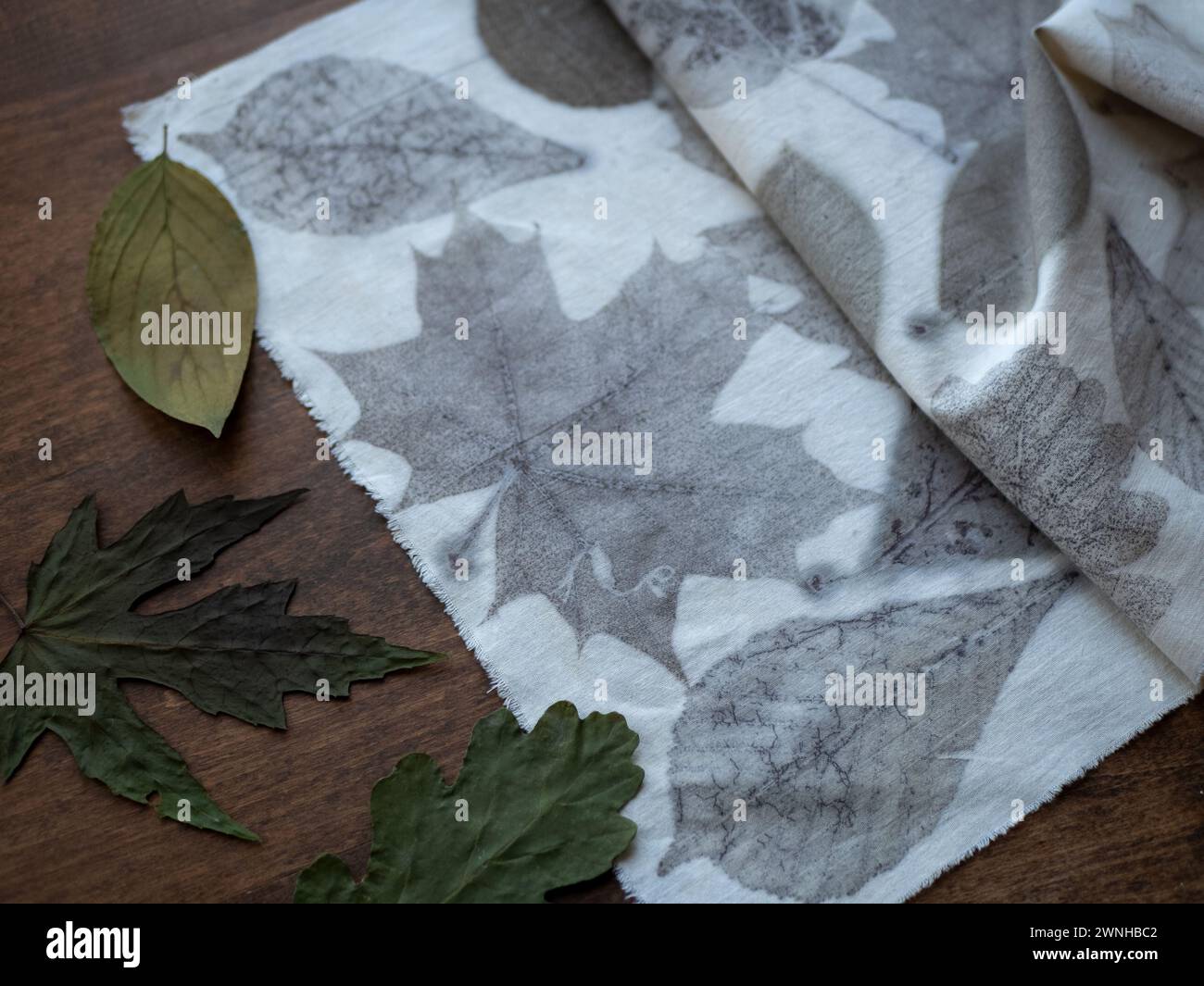 Tessuto eco-stampato e foglie essiccate sul tavolo in legno, messa a fuoco selettiva. Esperimento di tintura naturale Foto Stock