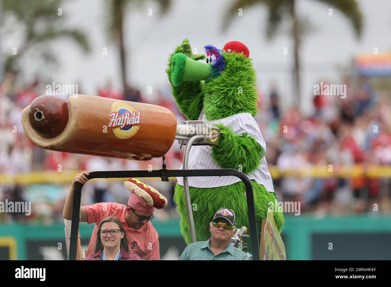 Clearwater, Florida, Stati Uniti. 2 marzo 2024. La mascotte dei Philadelphia Phillie Phanatic spara t-shirt ai tifosi durante una partita di allenamento primaverile della MLB contro i Minnesota Twins il 2 marzo 2024 al BayCare Ballpark. I Phillies batterono i Twins per 3-2. (Credit Image: © Kim Hukari/ZUMA Press Wire) SOLO PER USO EDITORIALE! Non per USO commerciale! Foto Stock