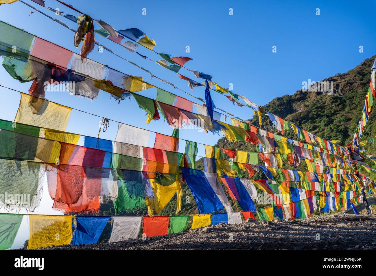 Bandiere di preghiera tibetane che sventolano nelle colline di Dehradun, Uttarakhand, India Foto Stock