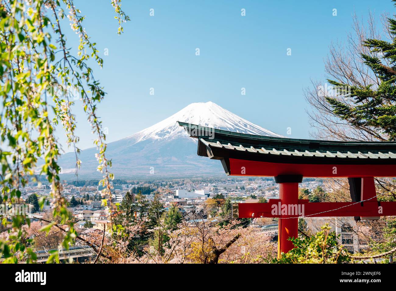 Arakurayama Sengen Park Shrine porta Torii e Fuji Mountain in primavera a Yamanashi, Giappone Foto Stock