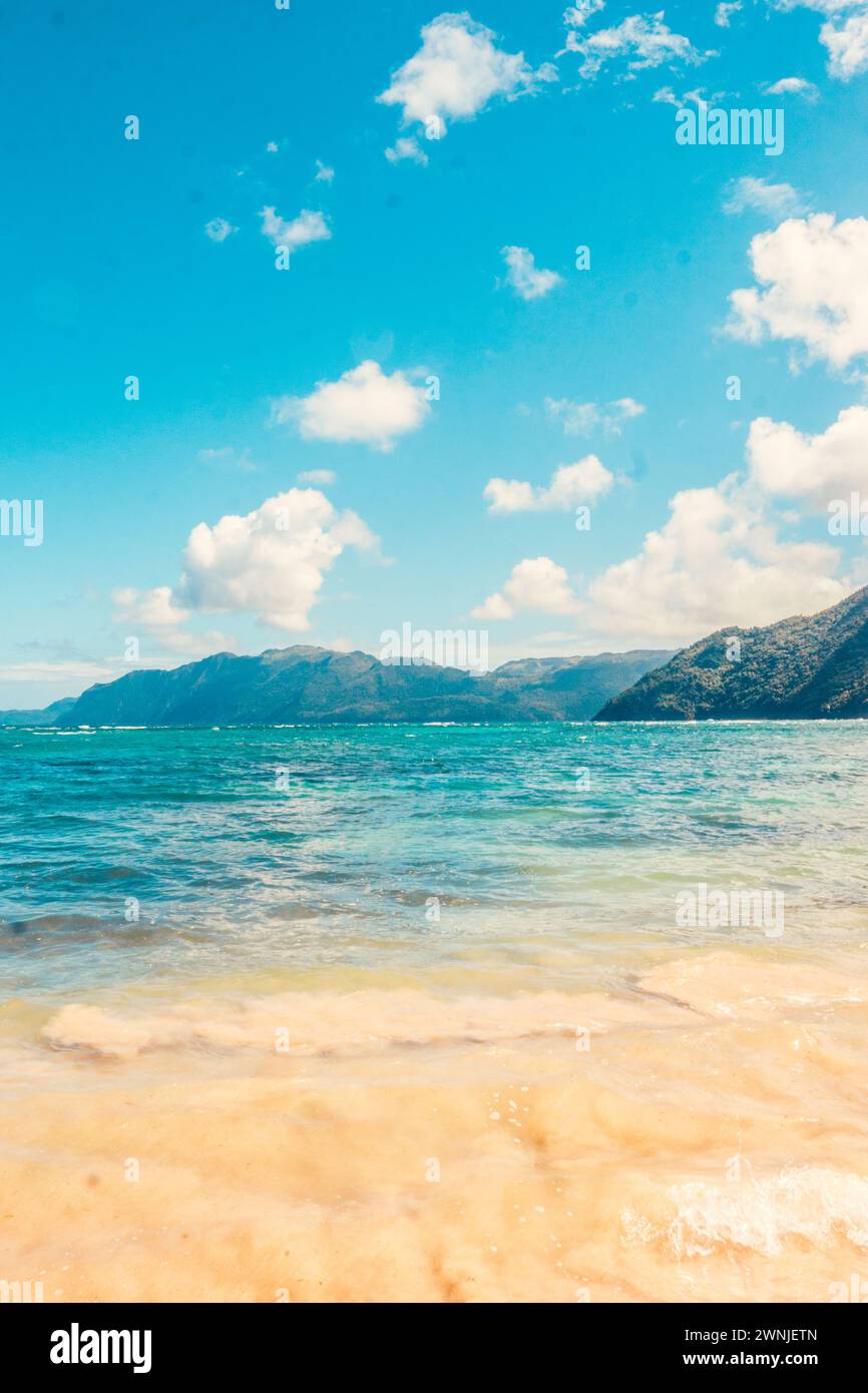 Spiaggia caraibica nel paradiso con palme Foto Stock