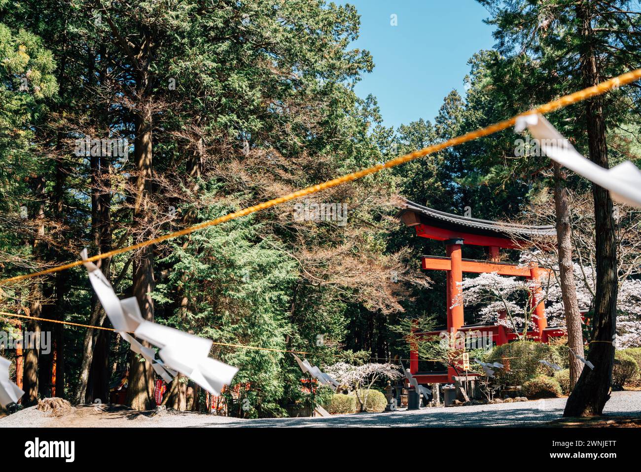 Fujiyoshida Kitaguchi Hongu Fuji Sengen Shrine porta Torii vicino al monte Fuji a Yamanashi, Giappone Foto Stock