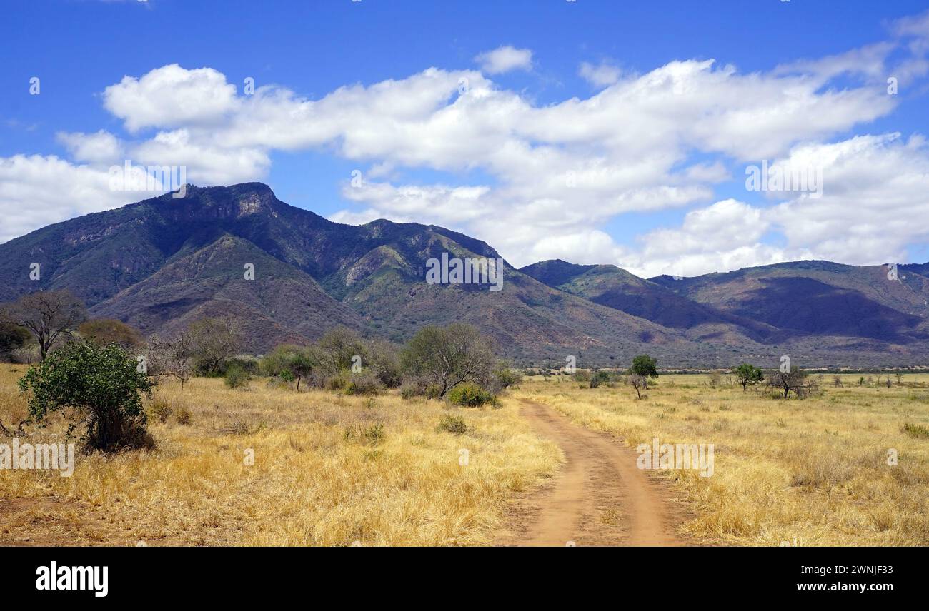 Percorso accidentato nella savana durante la stagione secca con cespugli e alberi in primo piano e una catena montuosa sullo sfondo Foto Stock