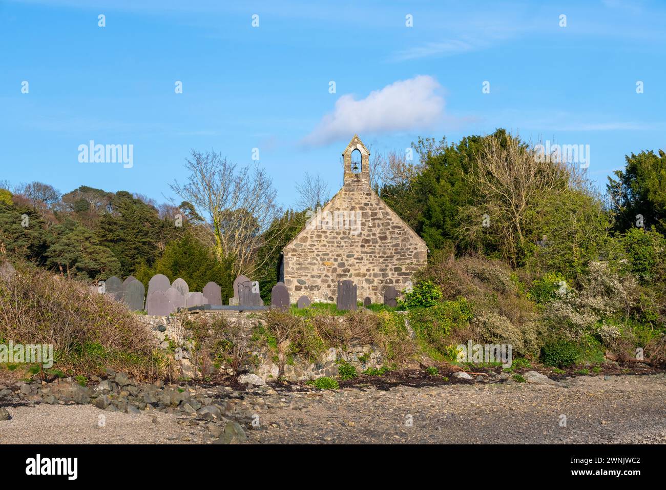 Chiesa di St Tysilio e cimitero su Church Island, accanto allo stretto di Menai, Anglesey, Galles del Nord. Foto Stock