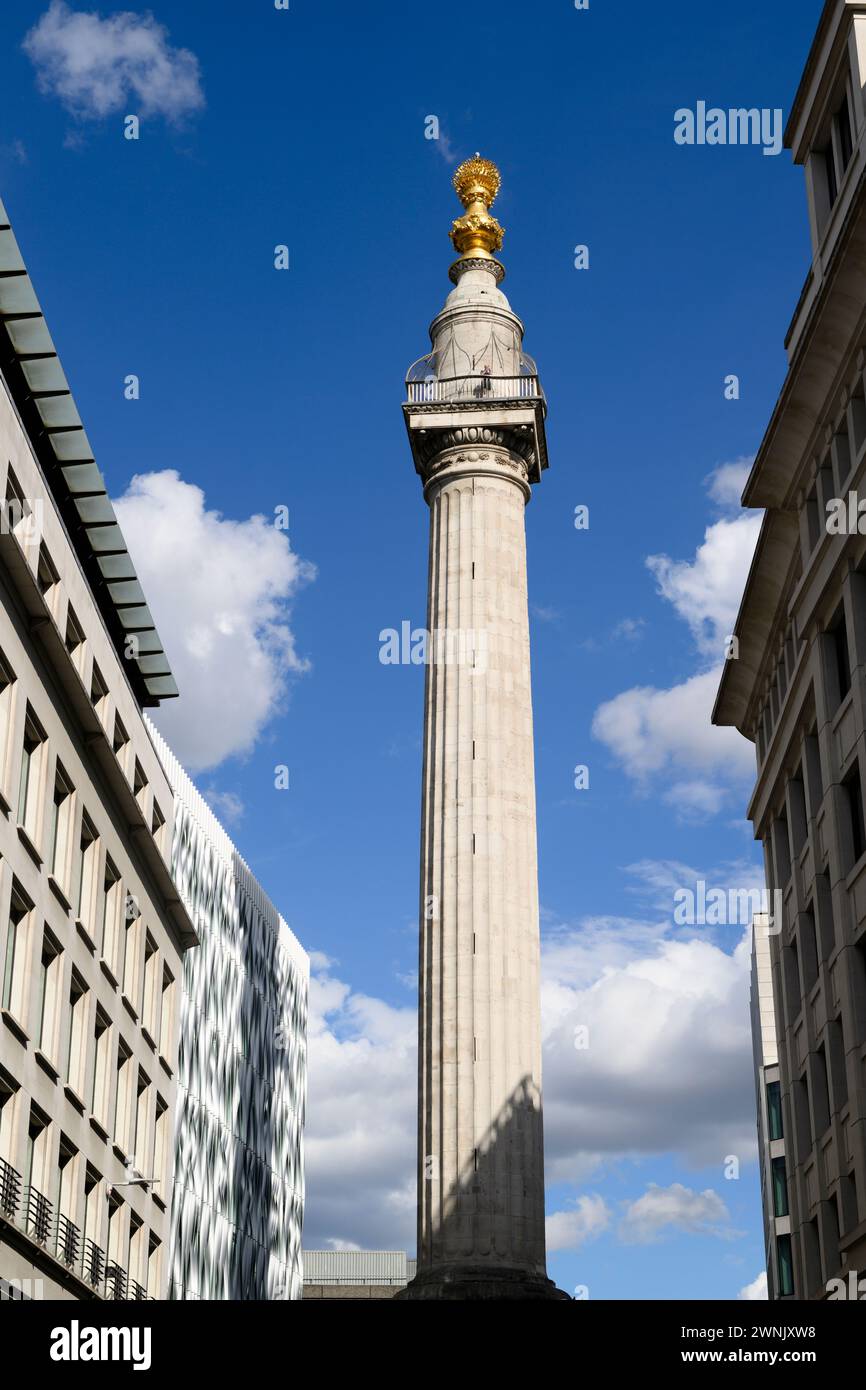 Il Monumento al grande incendio di Londra, comunemente noto come Monumento, è una colonna dorica scanalata alta 62 metri costruita per commemorare il grande incendio di Lon Foto Stock