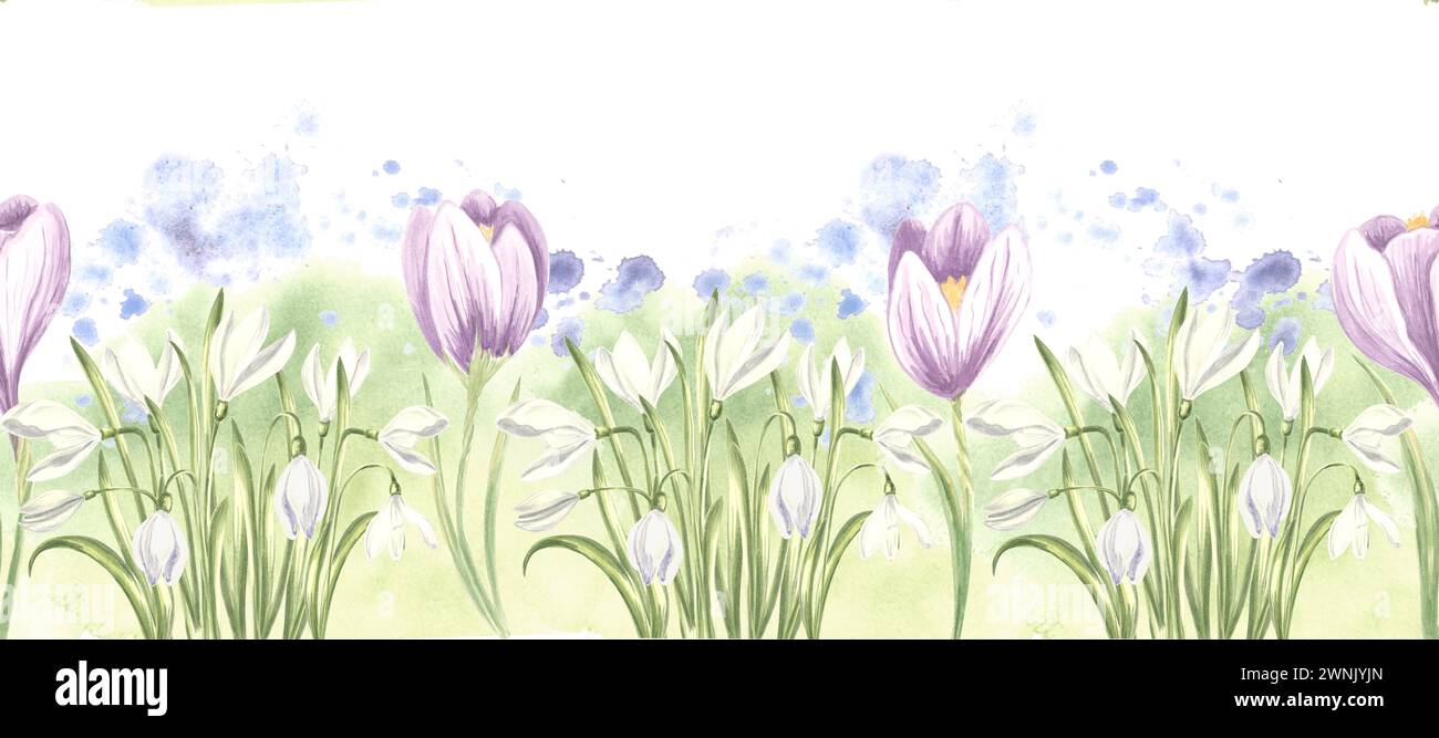 Bordo senza cuciture di croci viola e gocce di neve bianche. Illustrazione ad acquerello disegnata a mano primrose in fiore. Banner modello per tessuto, wallp Foto Stock