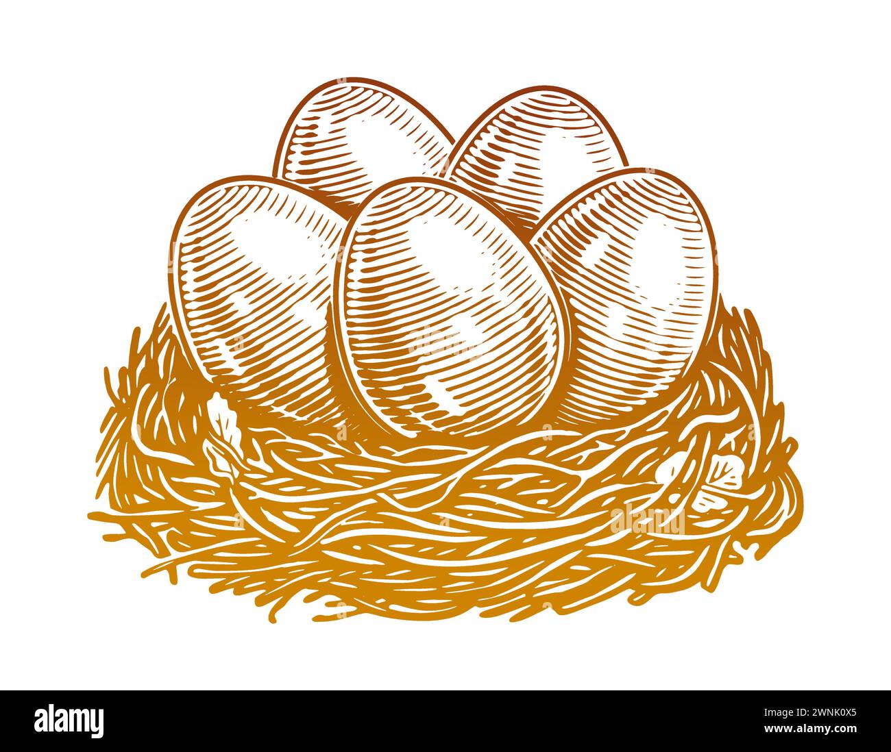 Uova di pollo disegnate a mano nel nido. Prodotti agricoli biologici. Disegnare un'illustrazione vettoriale vintage Illustrazione Vettoriale