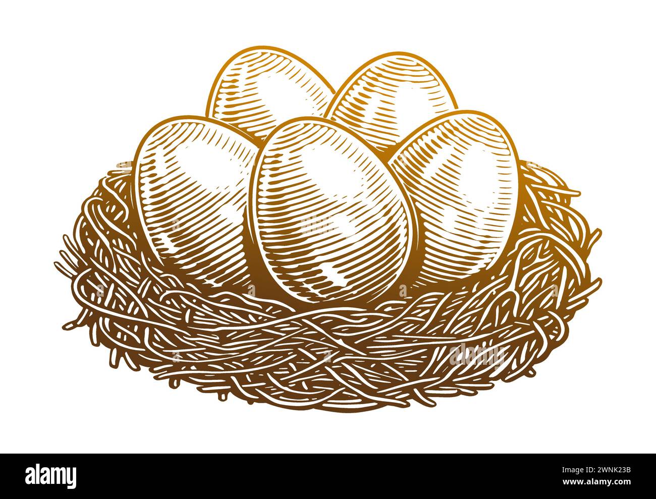 Uova di pollo nel nido di fieno. Prodotti agricoli biologici. Illustrazione vettoriale vintage disegnata a mano Illustrazione Vettoriale
