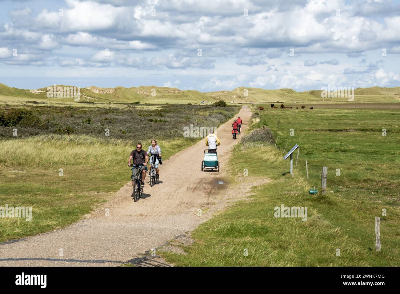 Persone attive nella riserva naturale Amrumer Odde, a nord dell'isola di Amrum, Frisia settentrionale, Schleswig-Holstein, Germania Foto Stock