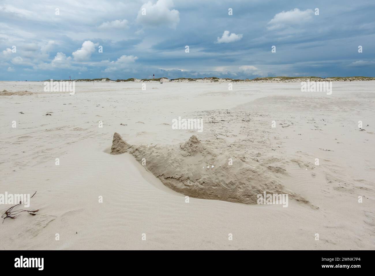 Scultura di sabbia di pesci sega o squali sulla spiaggia di Kniepsand vicino a Wittdun sull'isola di Amrum, Frisia settentrionale, Schleswig-Holstein, Germania Foto Stock
