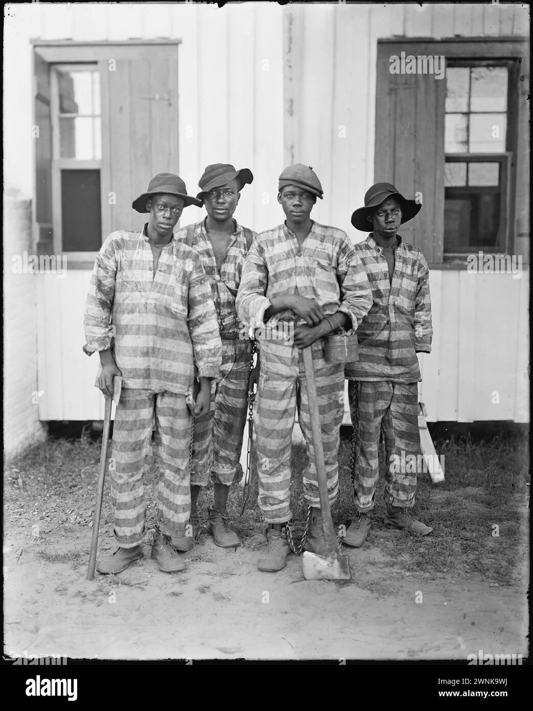 I detenuti della Florida hanno preso in affitto la Harvest Timber. Una catena di giovani detenuti afroamericani nel sud degli Stati Uniti, intorno al 1903. Una pratica comune storicamente nel Sud degli Stati Uniti, i prigionieri sarebbero stati incatenati insieme per svolgere un lavoro mite o fisicamente impegnativo come forma di punizione. Le bande di catene permisero ai prigionieri di lavorare in pubblico al di fuori dei penitenziari, soddisfacendo la necessità di lavoro su progetti governativi, come ferrovie e strade Foto Stock I detenuti della Florida hanno preso in affitto la Harvest Timber. Una catena di giovani detenuti afroamericani nel sud degli Stati Uniti, intorno al 1903. Una pratica comune storicamente nel Sud degli Stati Uniti, i prigionieri sarebbero stati incatenati insieme per svolgere un lavoro mite o fisicamente impegnativo come forma di punizione. Le bande di catene permisero ai prigionieri di lavorare in pubblico al di fuori dei penitenziari, soddisfacendo la necessità di lavoro su progetti governativi, come ferrovie e strade Foto Stock