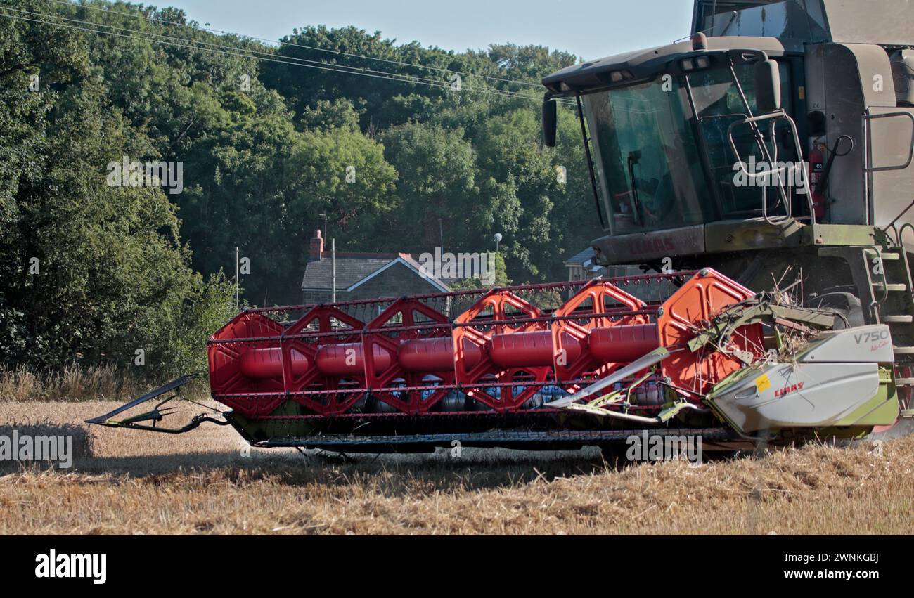 Mietitrebbia, Coedpoeth, Wrexham, Galles Foto Stock
