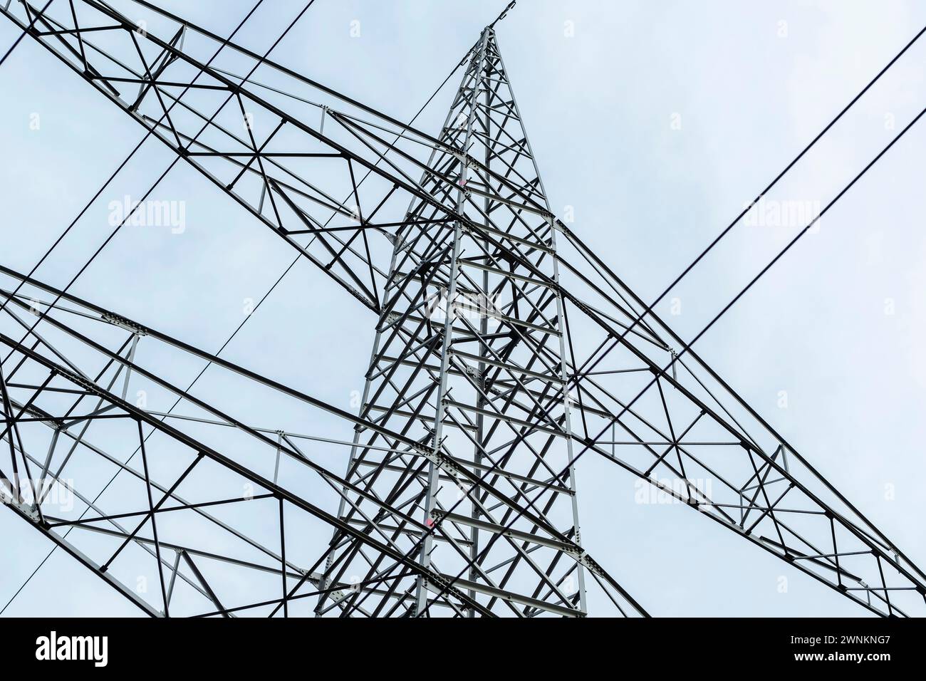 Alta tensione pilone Foto Stock