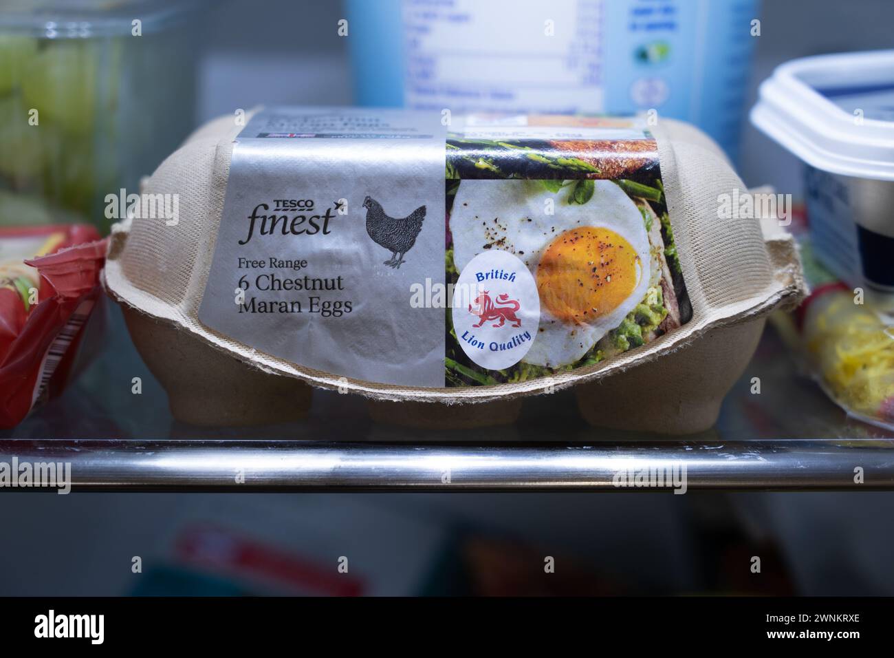 Tesco Finest Castagne maran uova allevate a terra su un ripiano del frigorifero in una scatola di uova, con il logo British Lion Quality sul lato. REGNO UNITO Foto Stock