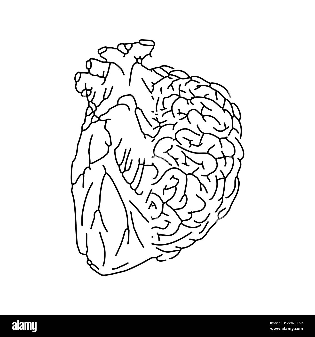 Metà cervello e metà cuore. Unire sentimenti e ragione. Illustrazione Vettoriale
