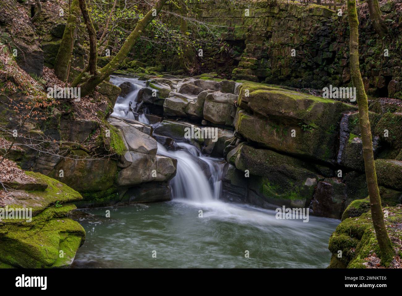 Riserva naturale Healey Dell in inverno Foto Stock