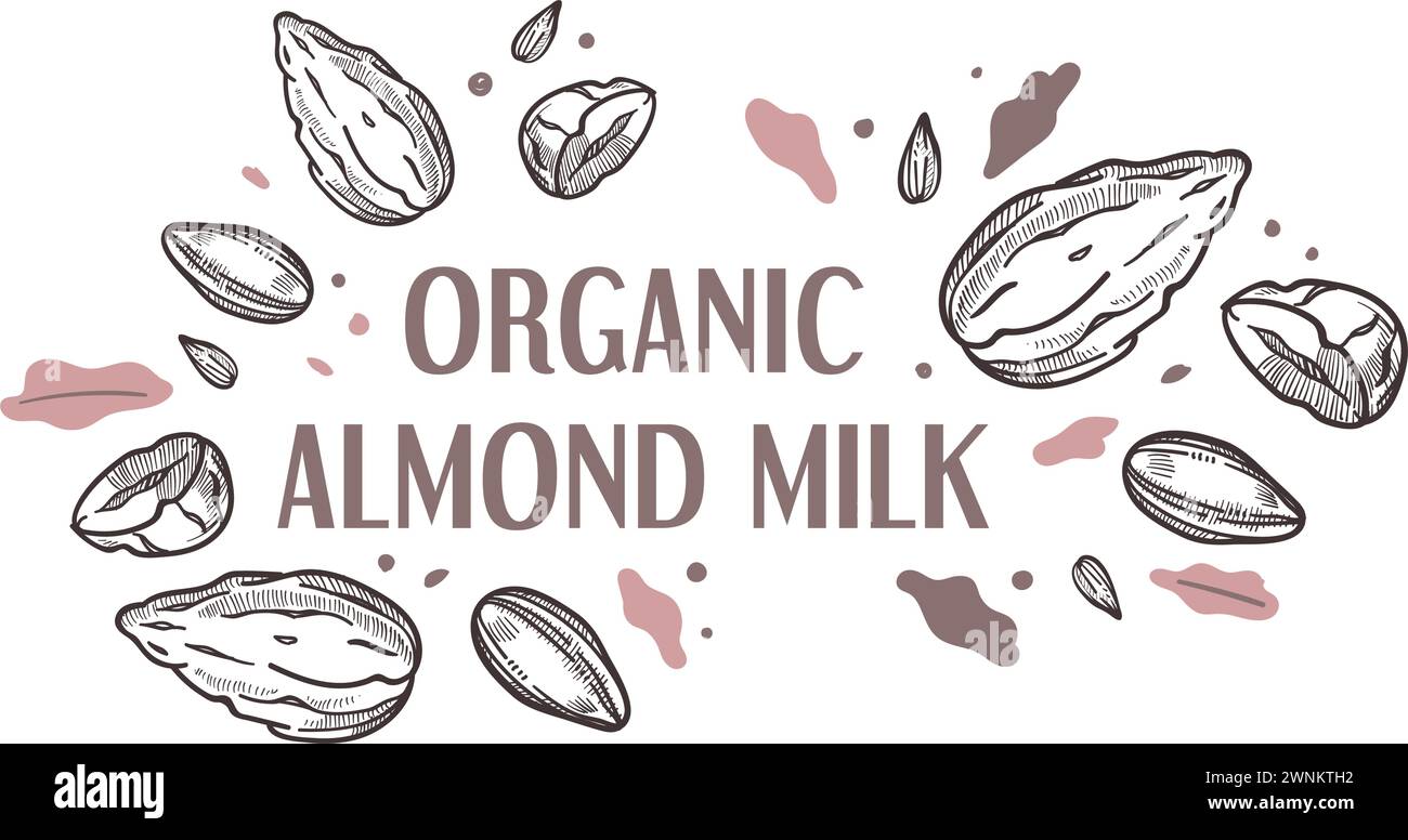 Emblema della bevanda biologica a base di latte di mandorle Illustrazione Vettoriale
