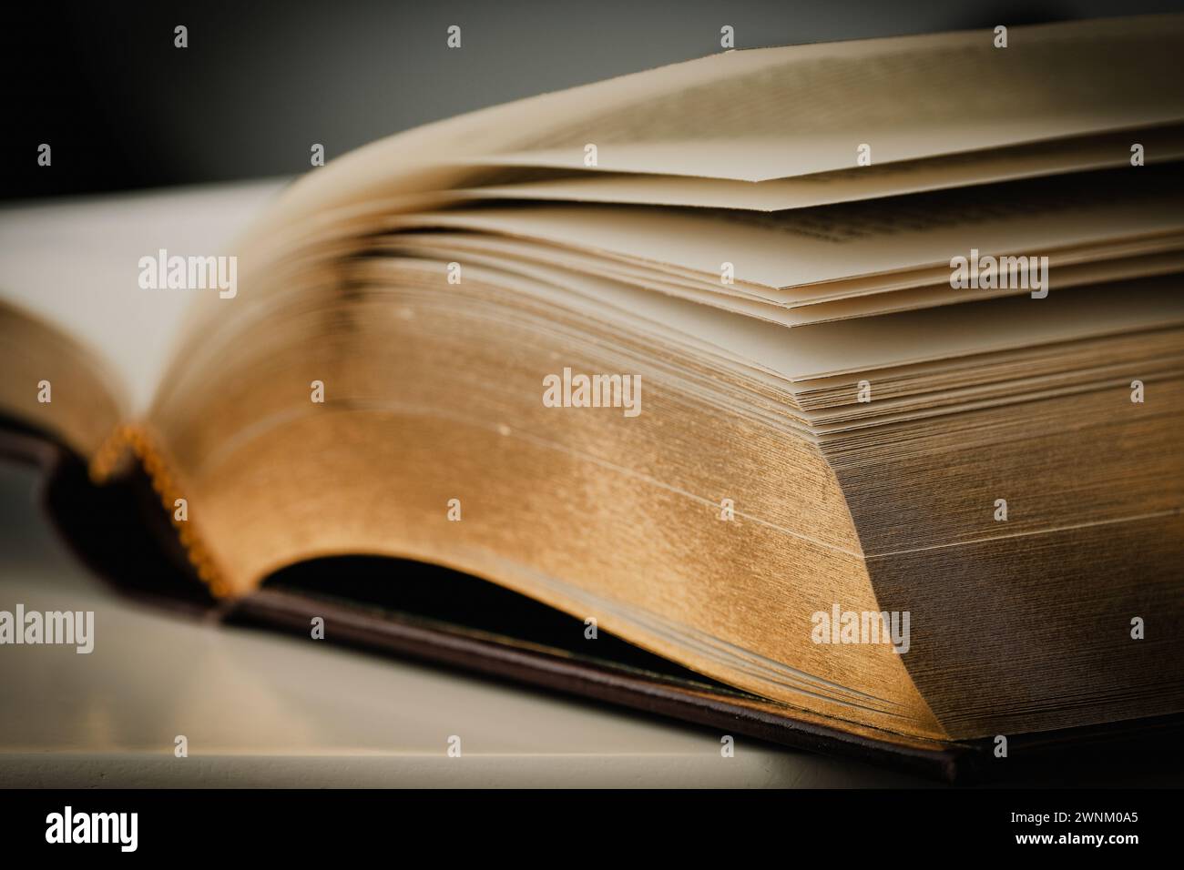Lato del libro con copertina rigida aperta con messa a fuoco limitata Foto Stock Lato del libro con copertina rigida aperta con messa a fuoco limitata Foto Stock