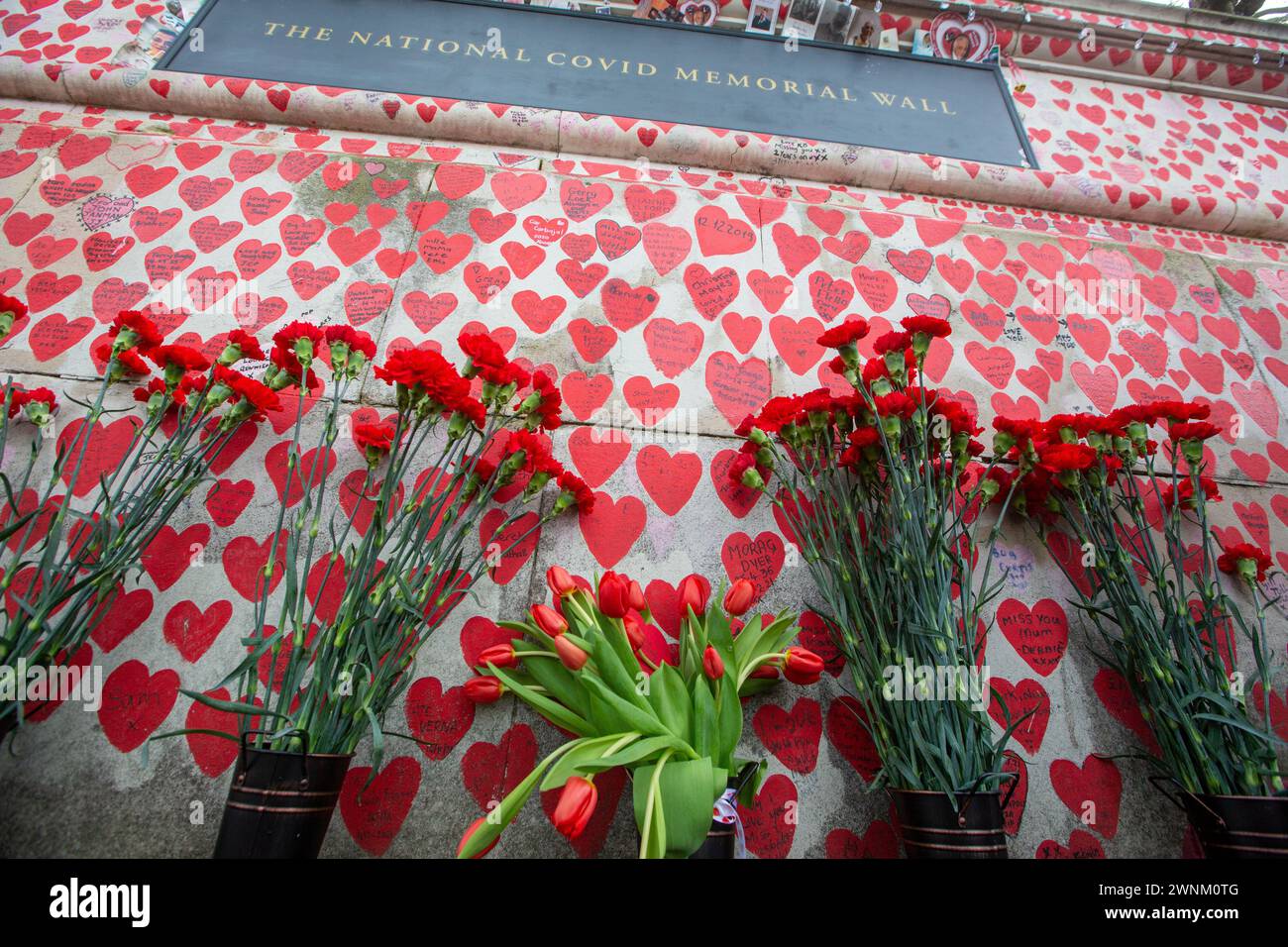 Londra, Inghilterra, Regno Unito. 3 marzo 2024. Le persone si riuniscono lungo il Covid Memorial Wall sul Tamigi Path a Westminster durante la giornata nazionale della riflessione, in onore di coloro che sono morti per Covid-19. Ogni cuore dipinto a mano sul muro rappresenta una vita persa per Covid-19 nel Regno Unito (Credit Image: © Tayfun Salci/ZUMA Press Wire) SOLO PER USO EDITORIALE! Non per USO commerciale! Crediti: ZUMA Press, Inc./Alamy Live News Foto Stock