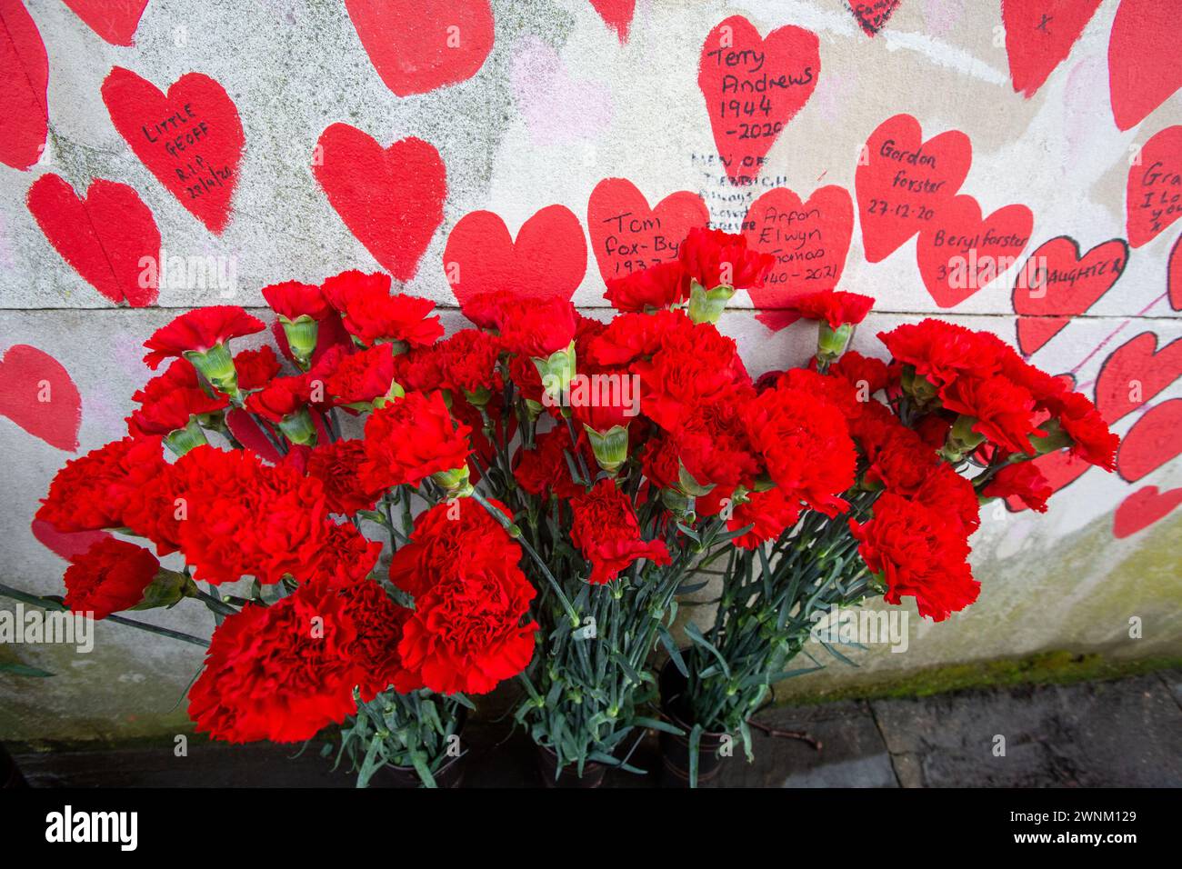 Londra, Inghilterra, Regno Unito. 3 marzo 2024. Le persone si riuniscono lungo il Covid Memorial Wall sul Tamigi Path a Westminster durante la giornata nazionale della riflessione, in onore di coloro che sono morti per Covid-19. Ogni cuore dipinto a mano sul muro rappresenta una vita persa per Covid-19 nel Regno Unito (Credit Image: © Tayfun Salci/ZUMA Press Wire) SOLO PER USO EDITORIALE! Non per USO commerciale! Crediti: ZUMA Press, Inc./Alamy Live News Foto Stock