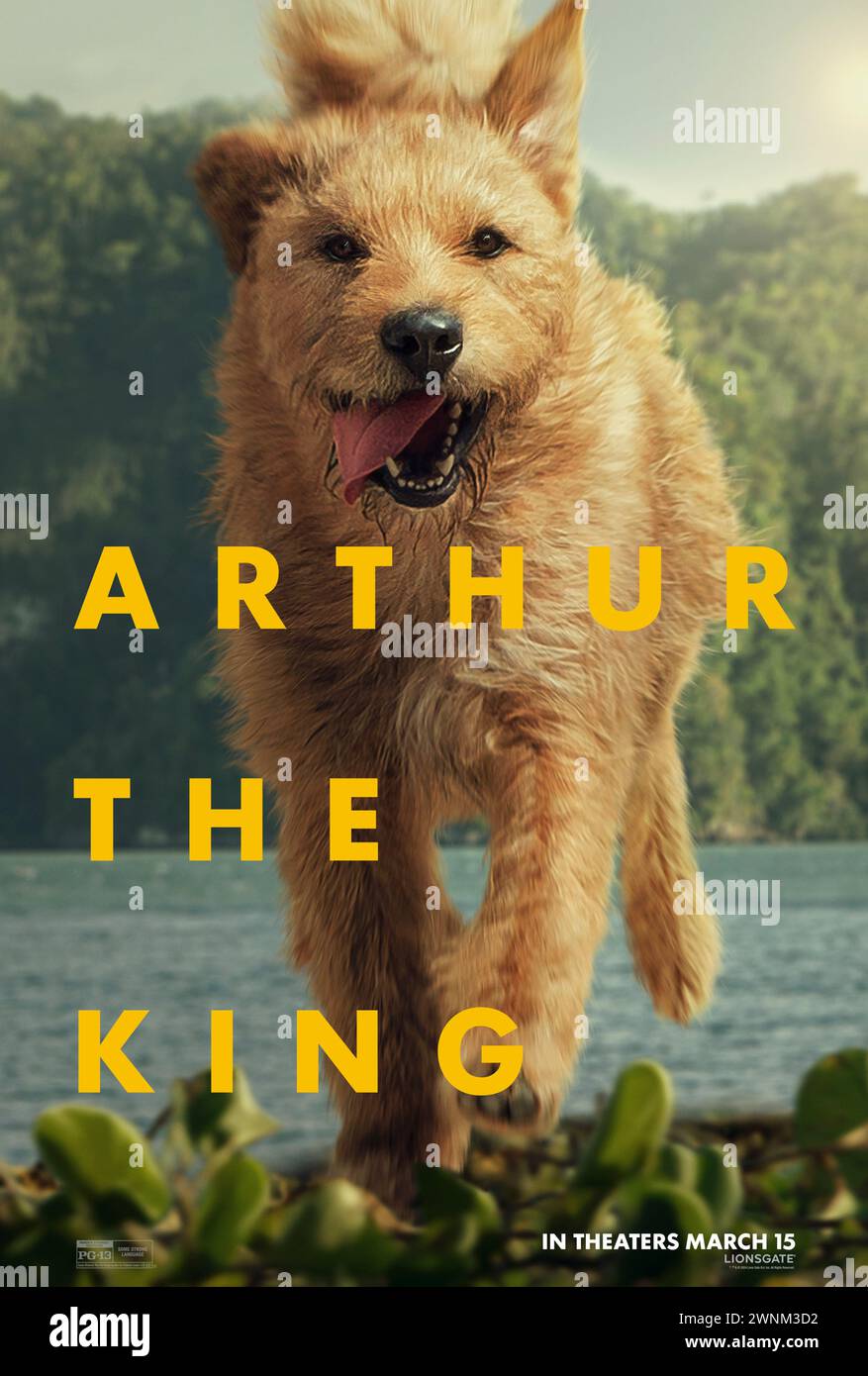 Arthur the King (2024) diretto da Simon Cellan, adattamento cinematografico del libro di memorie di Mikael Liindnord su un cane randagio che si unisce a una squadra durante un'epica gara di resistenza in Ecuador. Poster di caratteri USA ***SOLO PER USO EDITORIALE***. Credito: BFA / Lionsgate Foto Stock