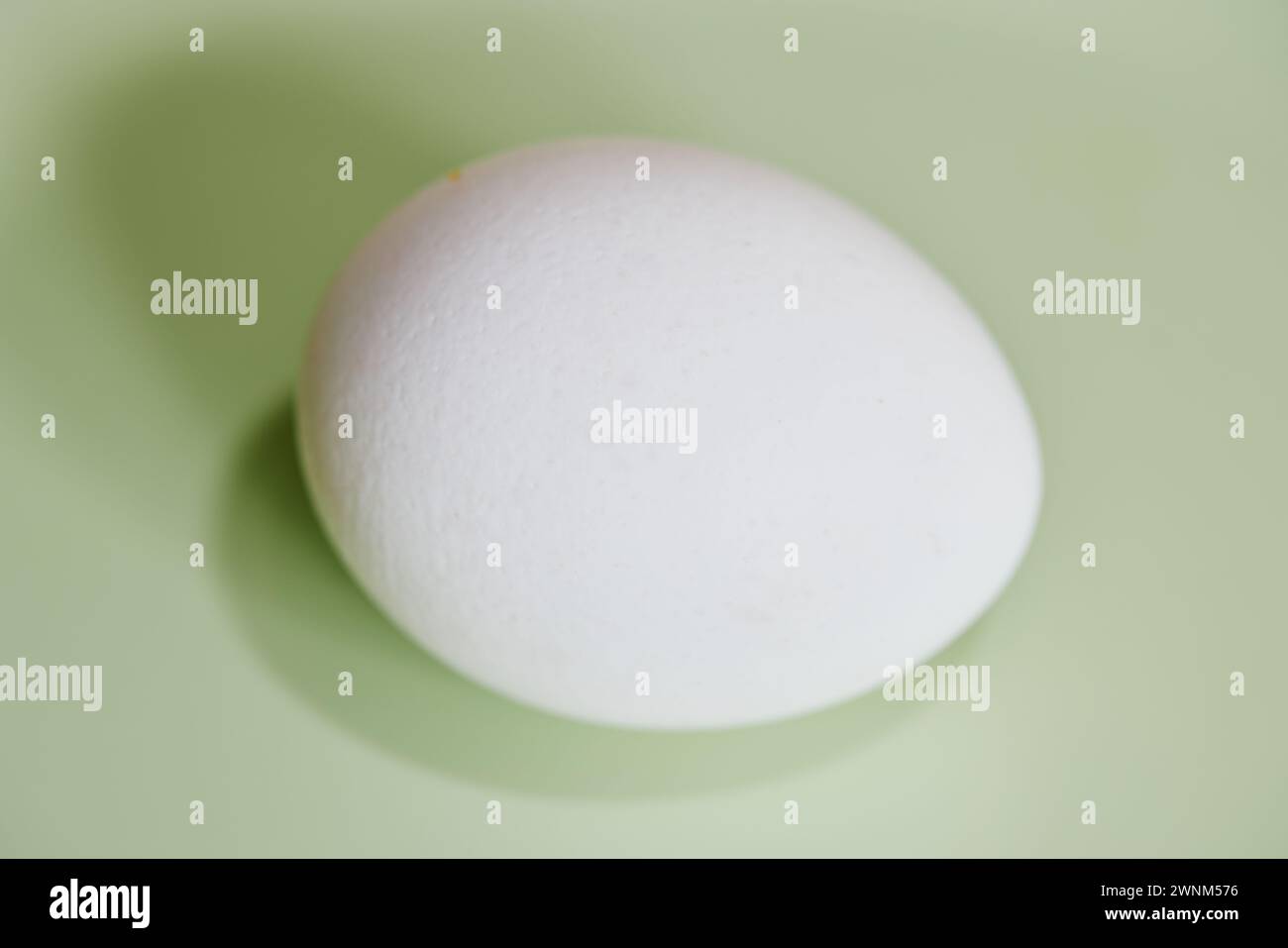 Uovo bianco su sfondo verde chiaro Foto Stock