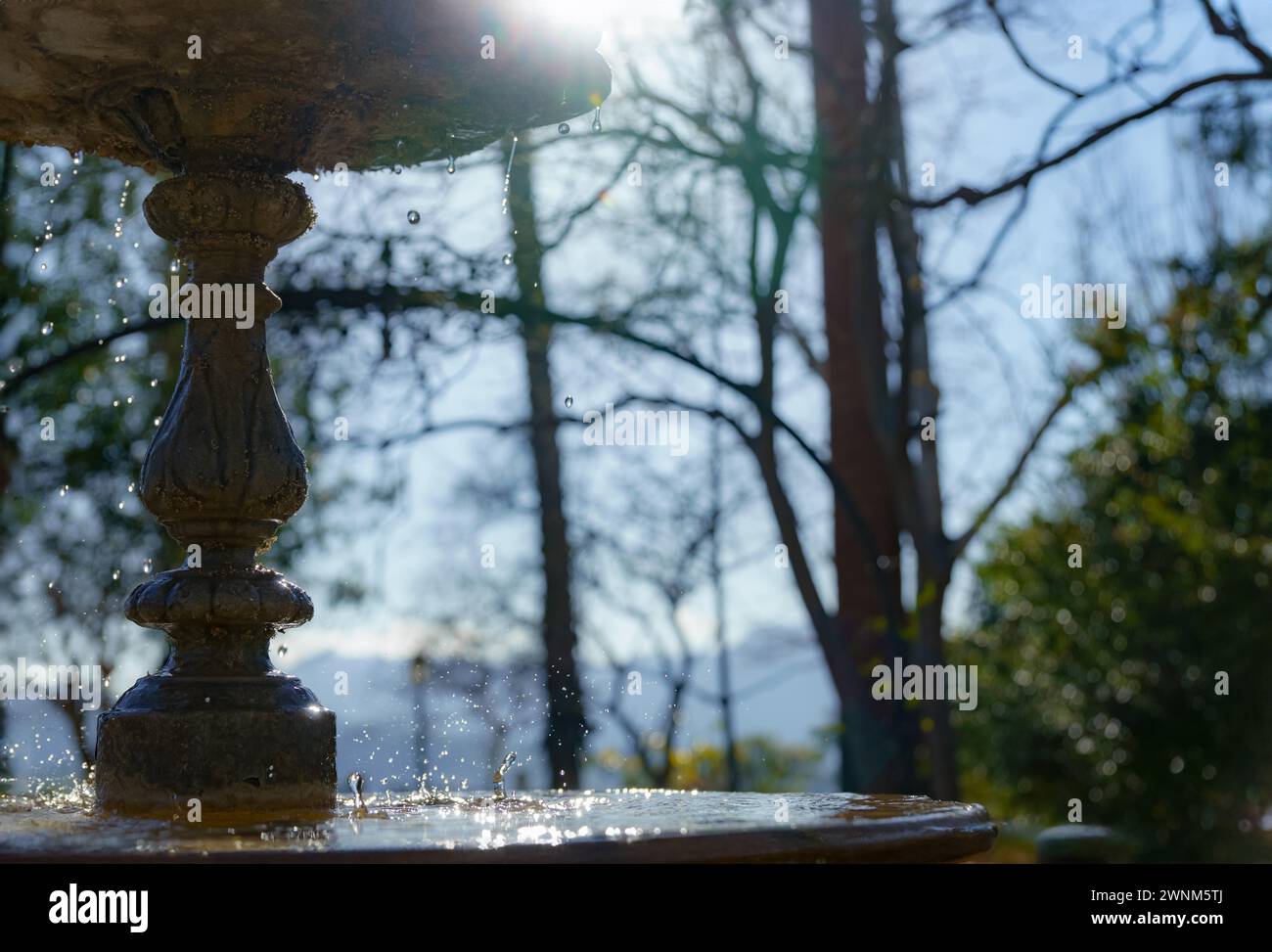 Vista profilo di una fontana pubblica con spruzzi d'acqua, cielo blu e alberi del parco sullo sfondo Foto Stock