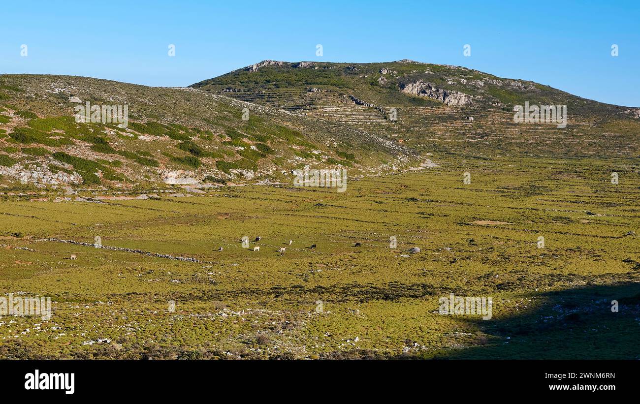 Colline verdi sotto un cielo blu senza intervento umano visibile, penisola mani, Peloponneso, Grecia Foto Stock