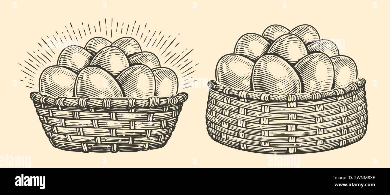 Uova di pollo nel cestino intrecciato. Cibo agricolo biologico. Illustrazione vettoriale vintage disegnata a mano Illustrazione Vettoriale