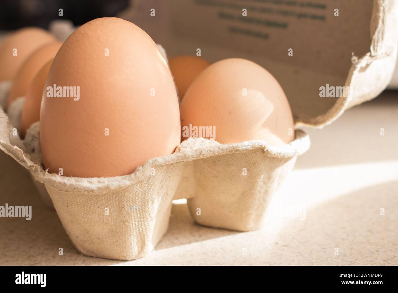 Uova di pollo in scatola di cartone. Uovo gigante con uova di dimensioni normali. Uova gialle fresche alla luce del sole. Cibo biologico sano. Uova marroni crude nel contenitore. Foto Stock