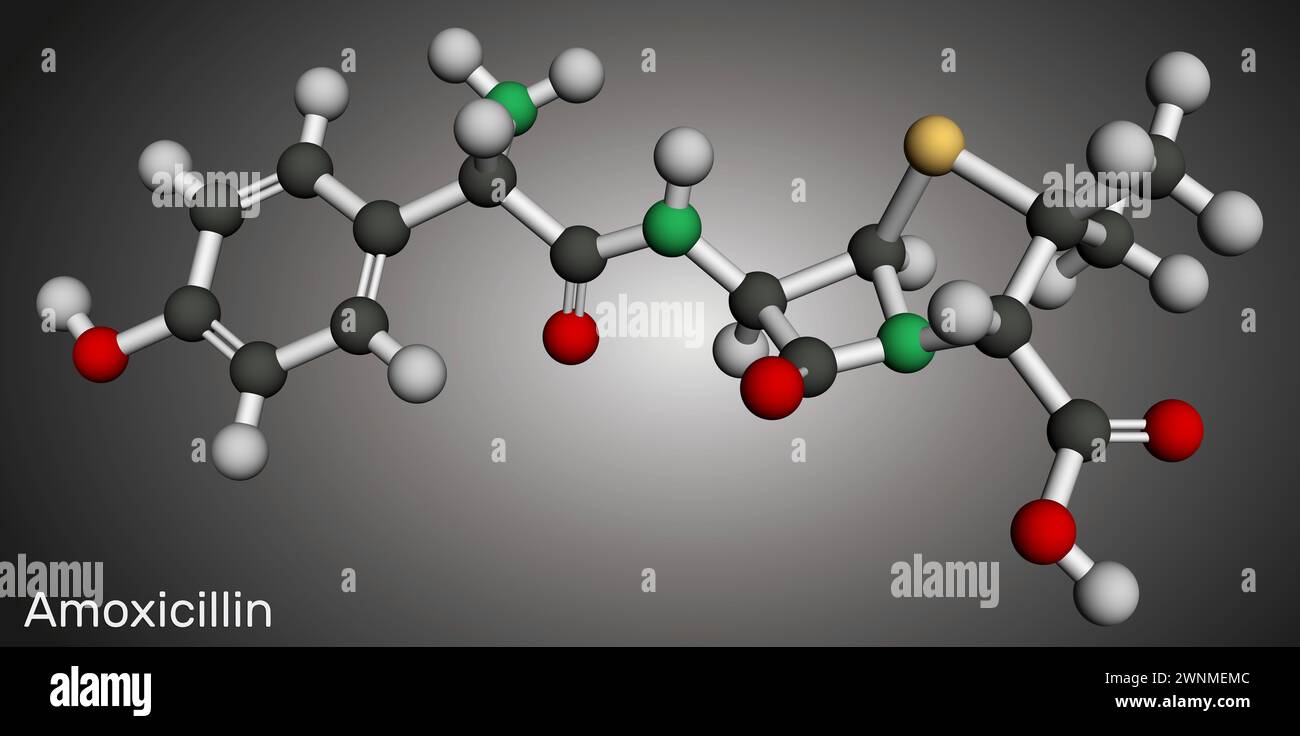 Molecola del farmaco amoxicillina. Si tratta di antibiotico beta-lattame. Modello molecolare. Rendering 3D. Illustrazione Foto Stock