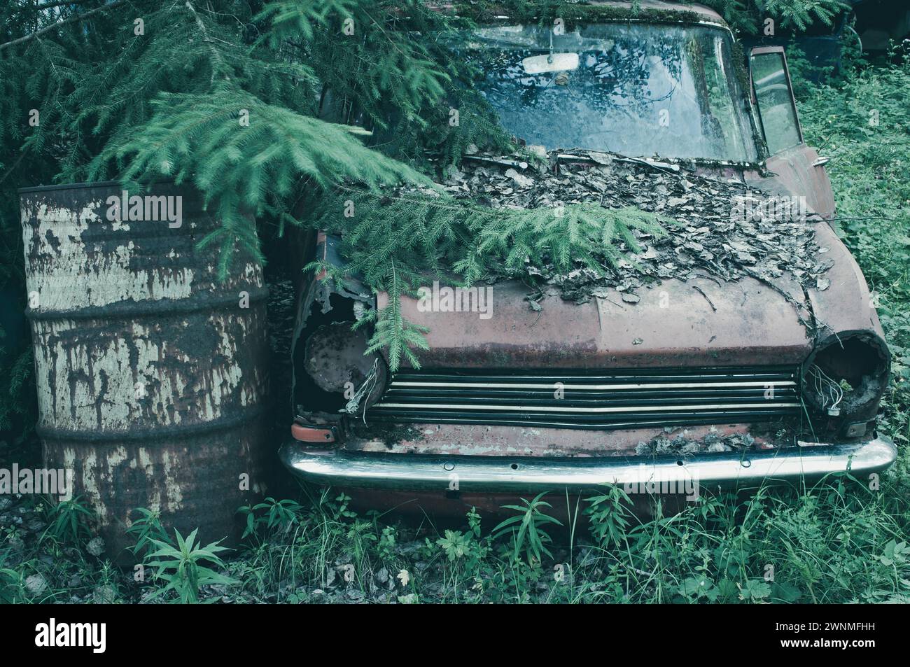 Un camion arrugginito si trova in un campo vicino a un albero in un cimitero di auto abbandonato in Svezia. Il veicolo mostra segni di decadimento ed è circondato da una sporgenza Foto Stock