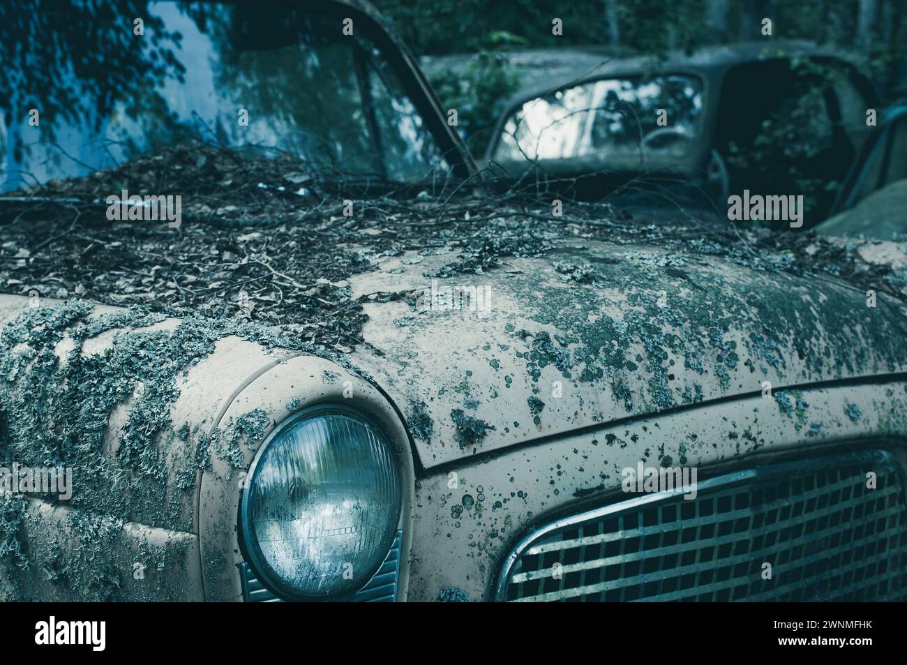 Un'auto abbandonata in un cimitero in Svezia è pesantemente coperta di muschio e sporcizia, mostrando segni di abbandono e degrado. La vernice del veicolo è a malapena visibile Foto Stock