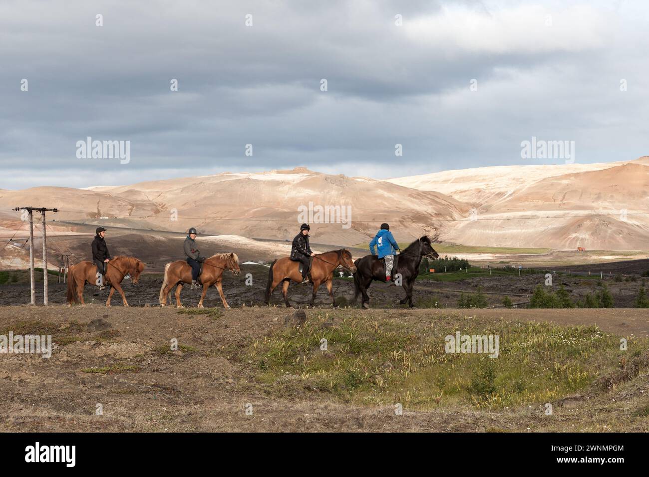 Gruppo di turisti che cavalcano cavalli islandesi di colore marrone e nero sul lago Myvatn, Islanda. Foto Stock