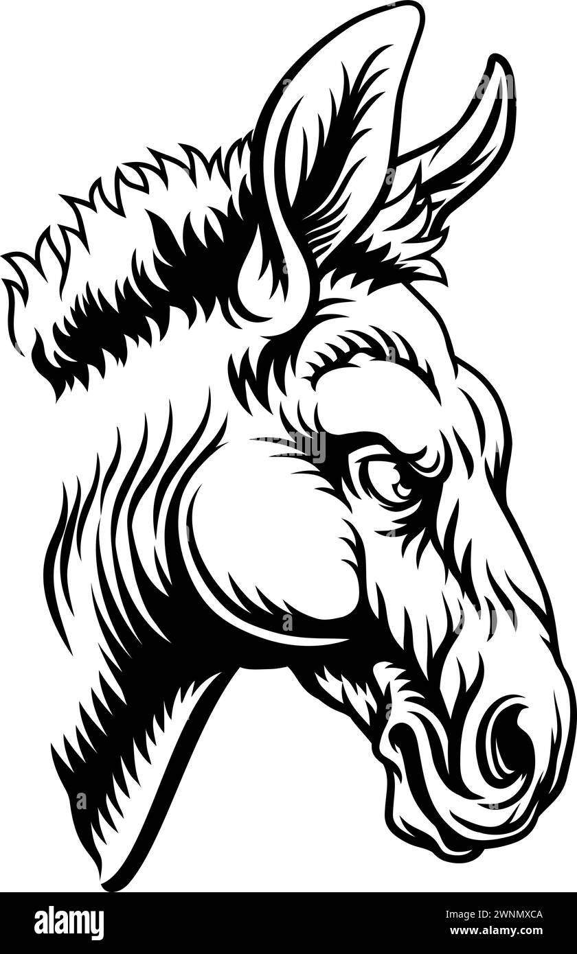 Elezioni democratiche Donkey politica del Partito politico Illustrazione Vettoriale