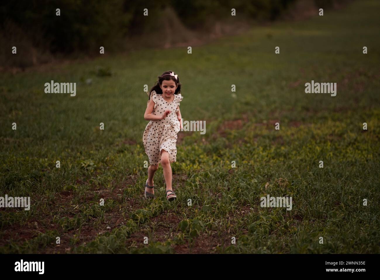 La bambina con i capelli lunghi in un vestito corre attraverso un campo verde. Un'infanzia attiva e divertente. Viaggio nel prato in campagna. Facilità, libertà di movimento Foto Stock