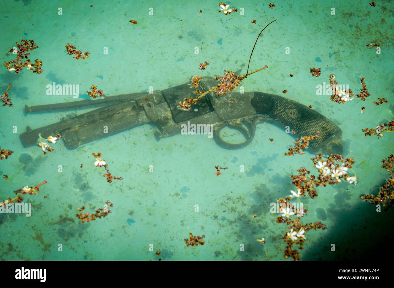 Vecchia pistola anticata immersa in acqua azzurra con piccoli fiori bianchi caduti che poggiano sulla parte superiore. Foto Stock