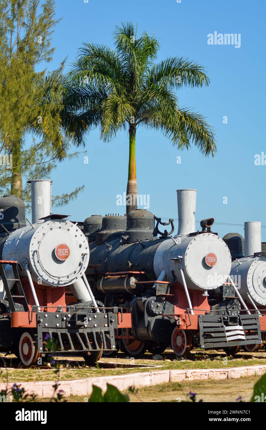 Vista frontale dei treni a vapore d'epoca - Museo - cieli blu con palme sullo sfondo Foto Stock