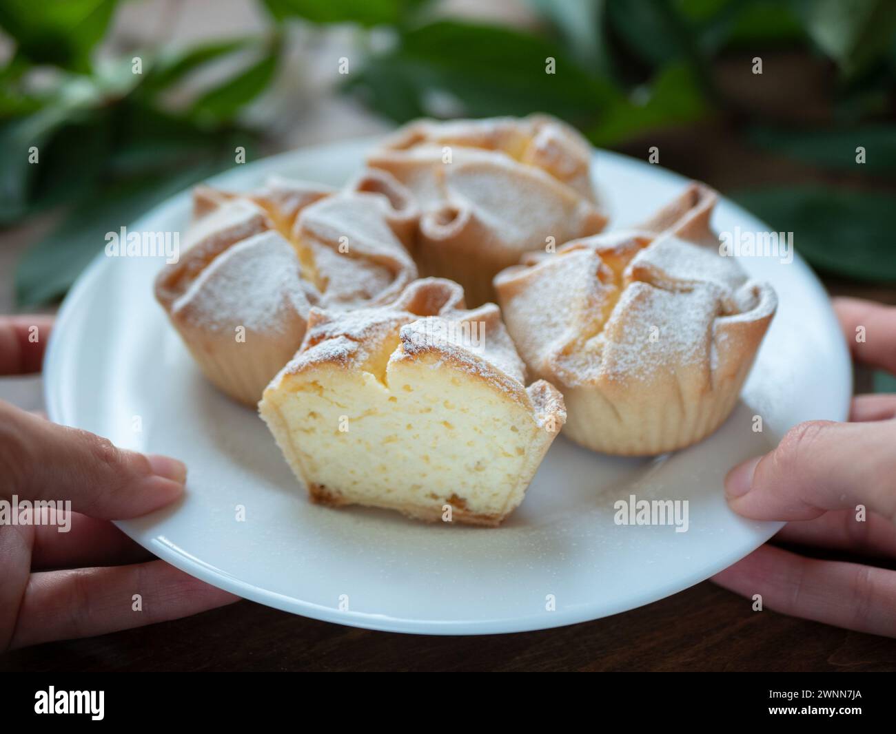 Piatto di soffioni Abruzzesi torte in mano, focalizzazione selettiva. Classici cupcake italiani appena sfornati Foto Stock