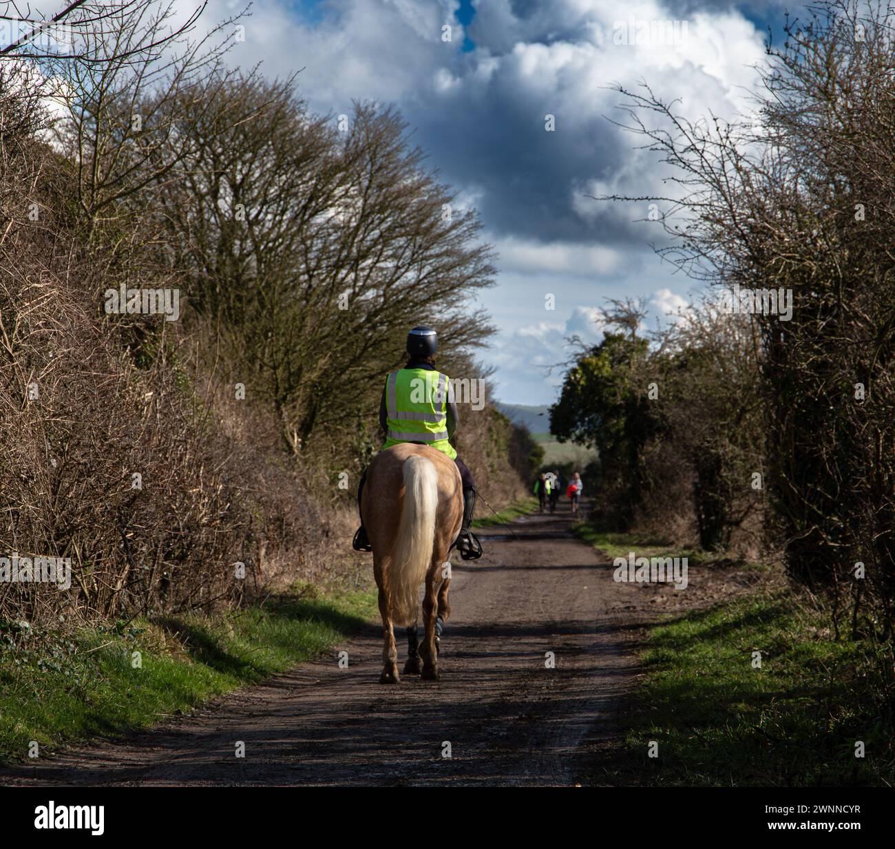 Equitazione in giubbotto ad alta visibilità cavalcando a cavallo su un sentiero rurale con alberi e cielo azzurro nuvoloso Foto Stock