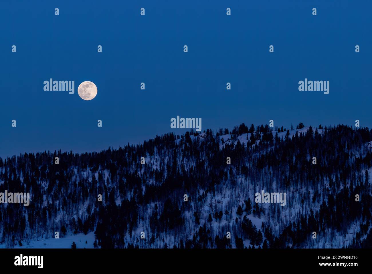 Luna di neve piena sulla natura selvaggia invernale in Idaho Foto Stock